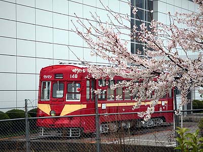 展示電車と桜