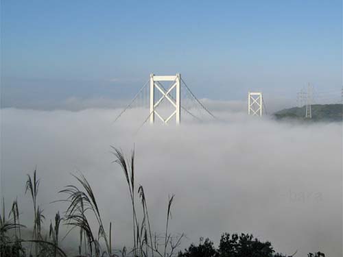 霧に揉まる関門橋